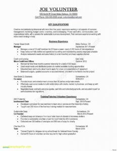 9 Professional Dancer Resume Template Examples | Resume Database