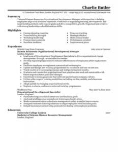 Amazing Human Resources Resume Examples | Livecareer