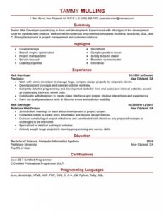 Best Web Developer Resume Example | Livecareer