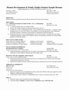 Customer Service Resume Objective Examples - Best Resume Template