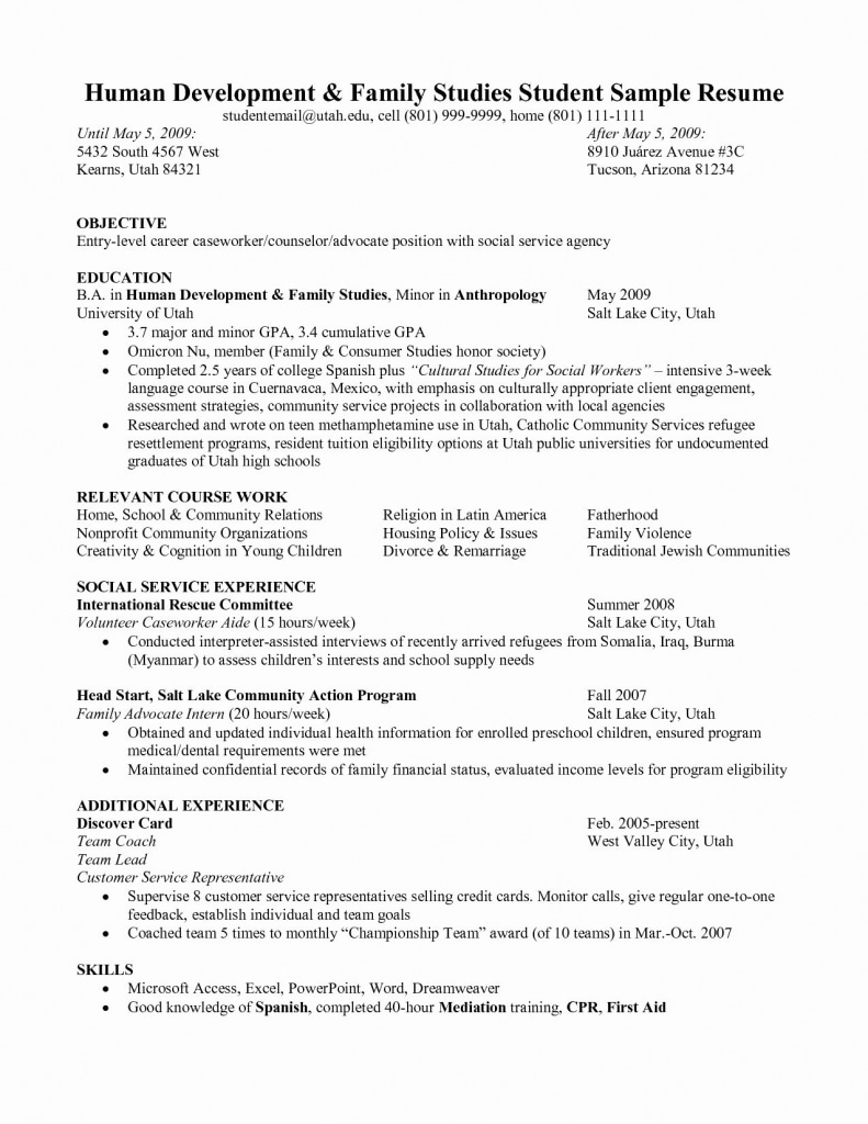 Customer Service Resume Objective Examples - Best Resume Template