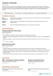 Data Analyst Resume [2019] - Guide &amp; Examples | Novorésumé