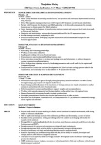 Director, Strategy &amp; Business Development Resume Samples | Velvet Jobs