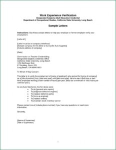 Employment Verification Letter Template Pdf Samples | Letter Cover