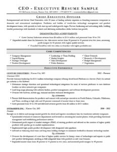 Executive Resume Examples &amp; Writing Tips | Ceo, Cio, Cto