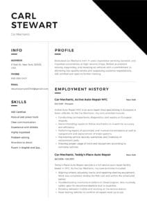 Free Car Mechanic Resume Sample, Template, Example, Cv, Formal