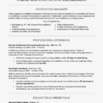 Free Professional Resume Examples And Writing Tips