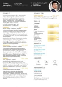 How To Write A Professional Summary On A Resume? [+examples