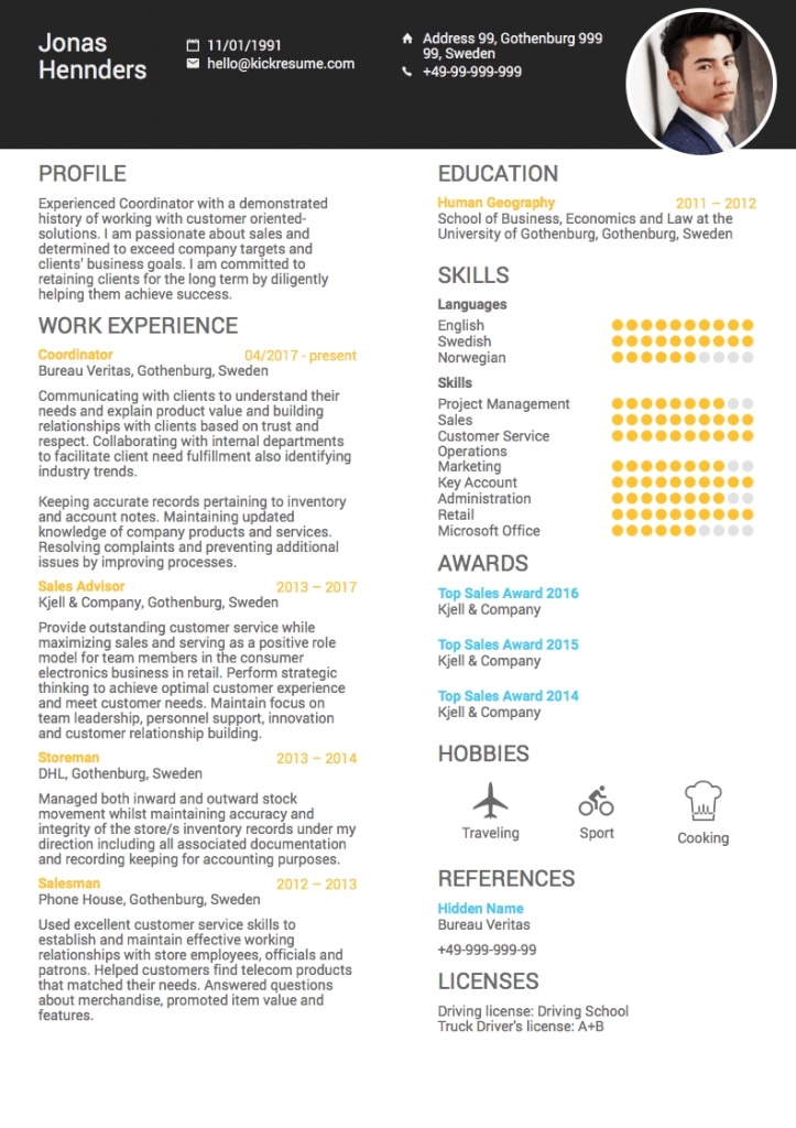 How To Write A Professional Summary On A Resume? [+examples