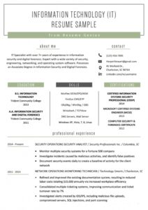 Information Technology (it) Resume Sample | Resume Genius