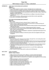 New Business Development Resume Samples | Velvet Jobs