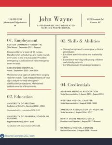 Our Updated Resume Examples 2019 | Resume Examples 2019