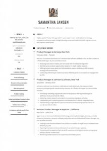 Product Manager Resume Sample, Template, Example, Cv, Formal, Design