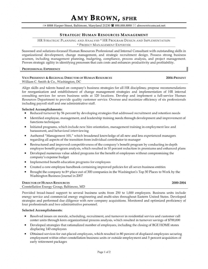 Project Management Emplate Simple Plan Example Executive Summary