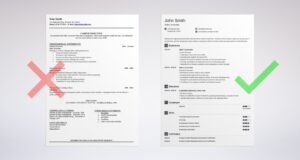 Resume Summary Examples (30+ Professional Summary Statements)