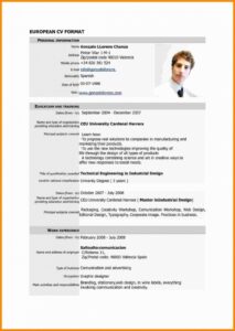 Standard Resume Format Pdf And 7 Cv Resume Sample Pdf – Theomega.ca