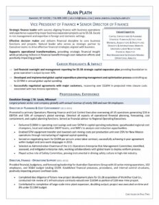 The 7 Best Director Level Resume Services With Examples