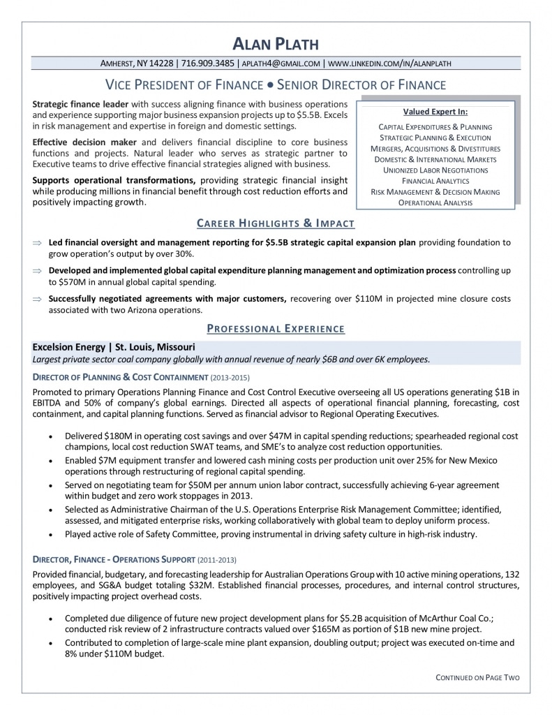 The 7 Best Director Level Resume Services With Examples