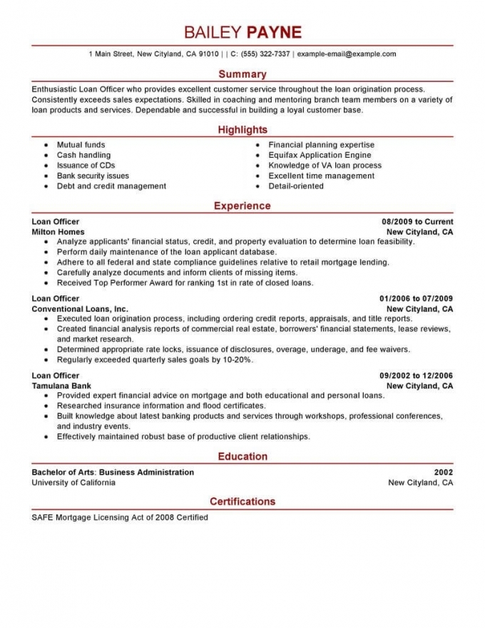 Financial Resume Example