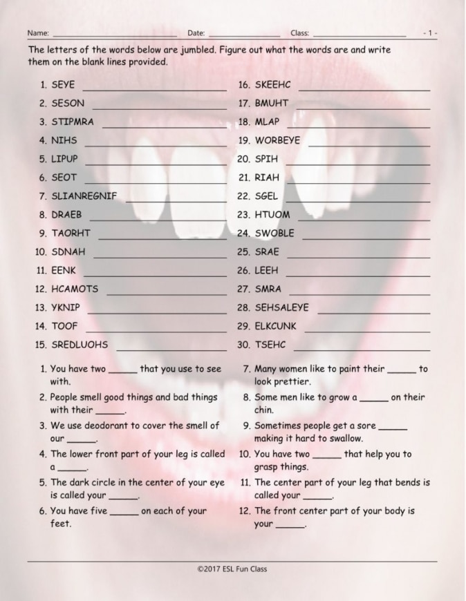 10 Body Parts 3 Letters