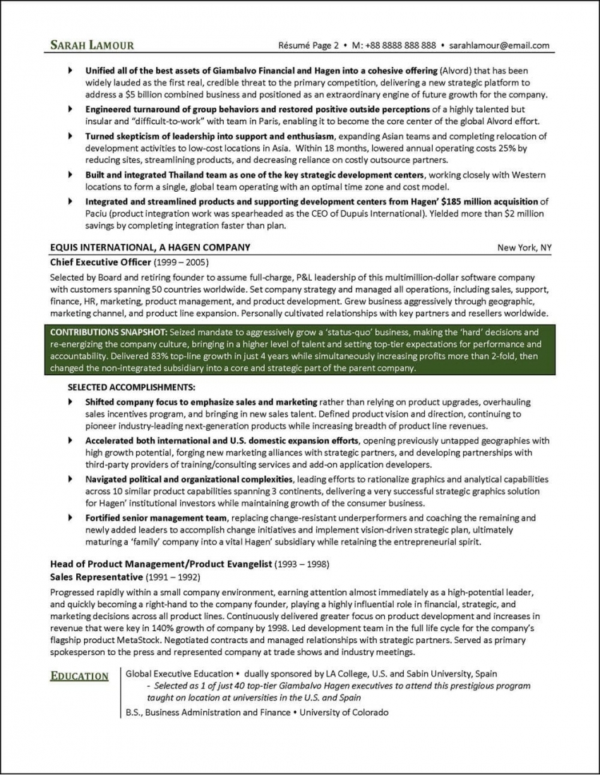 Best Executive Resume Examples
