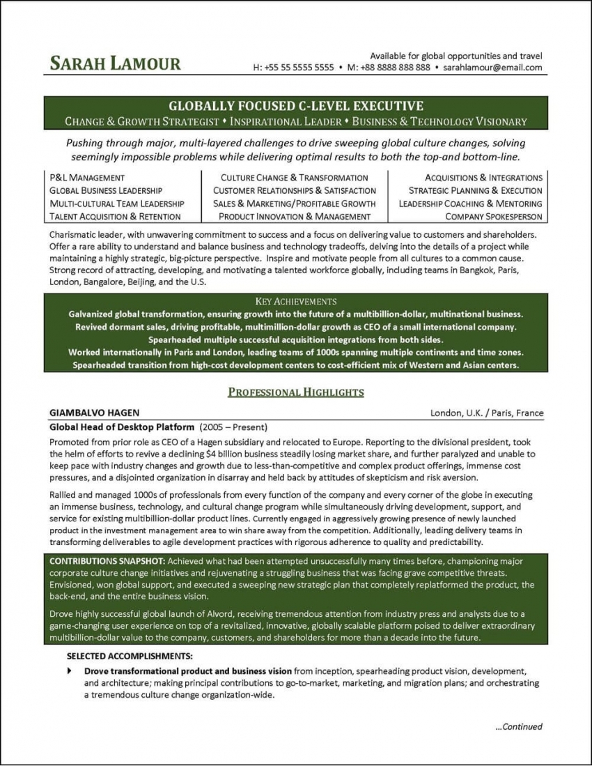 Best Executive Resume Examples