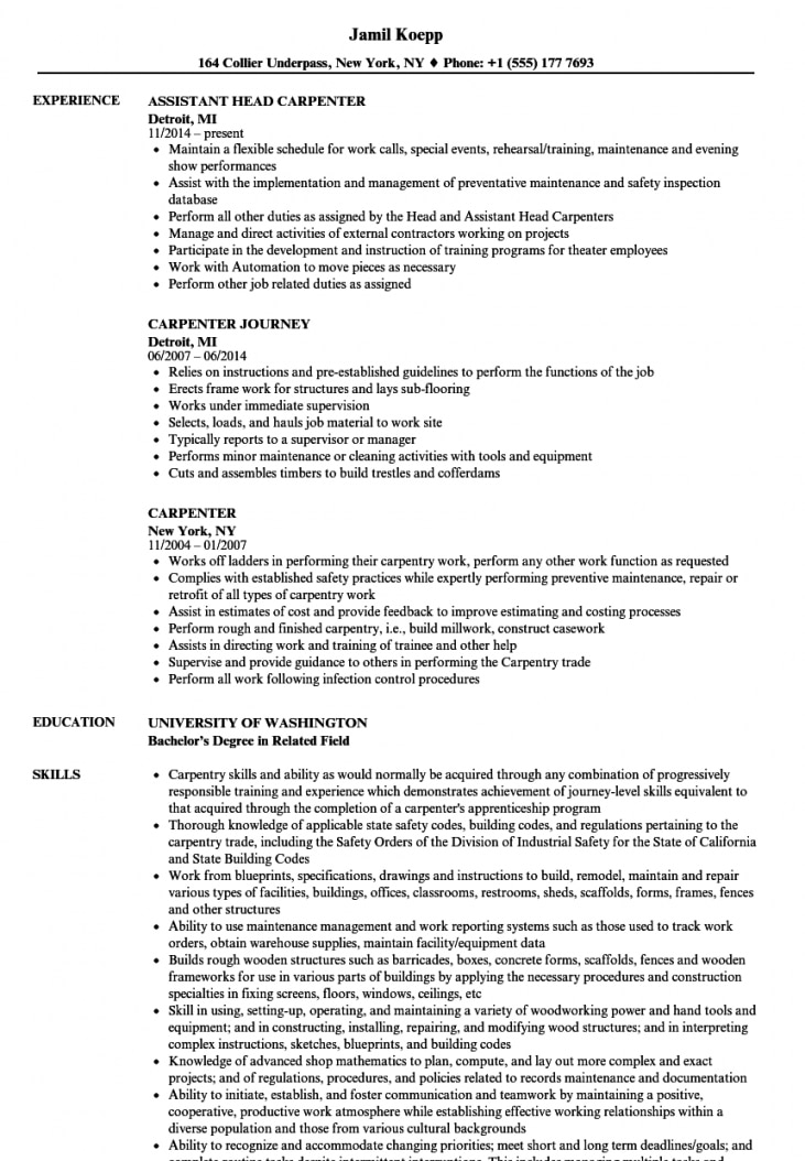 Carpenter Resume Examples
