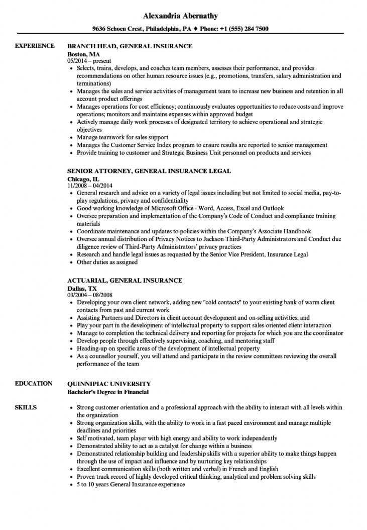 Insurance Resume Example