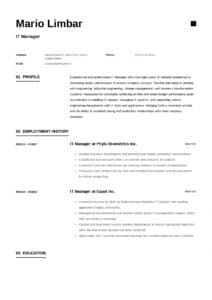 It Manager Resume Templates 2020 (Free Download) · Resume.io