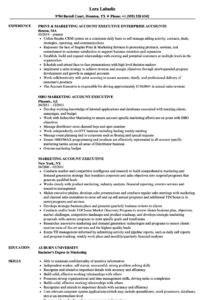 Marketing Account Executive Resume Samples | Velvet Jobs
