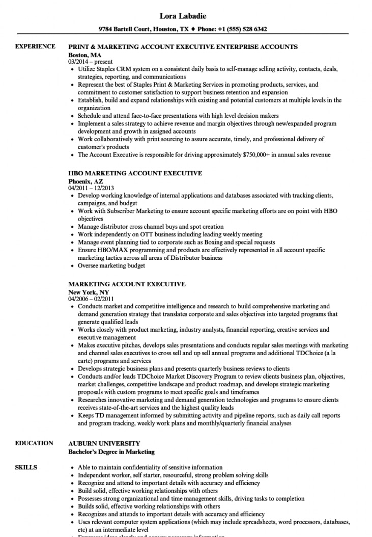 Marketing Account Executive Resume Samples | Velvet Jobs