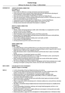 Media Director Resume Samples | Velvet Jobs