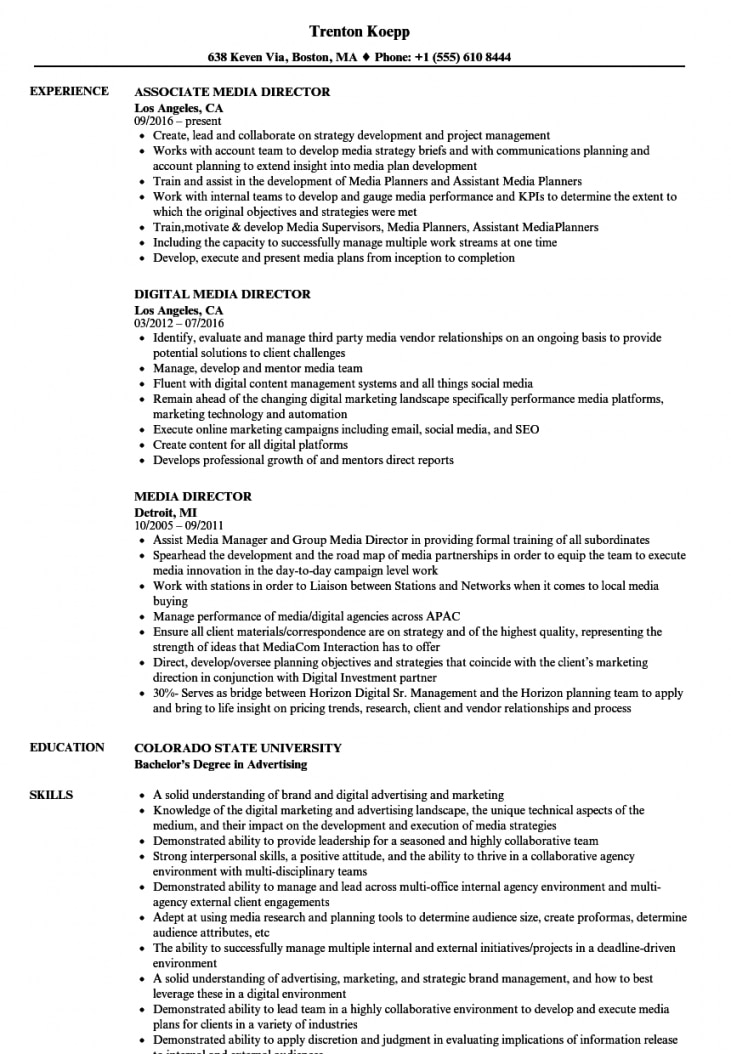 Media Director Resume Samples | Velvet Jobs