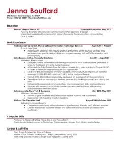 Mock Resume Templates Example Executive Ceo Careerperfect