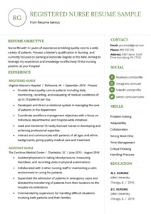 Nursing Resume Sample &amp; Writing Guide | Resume Genius