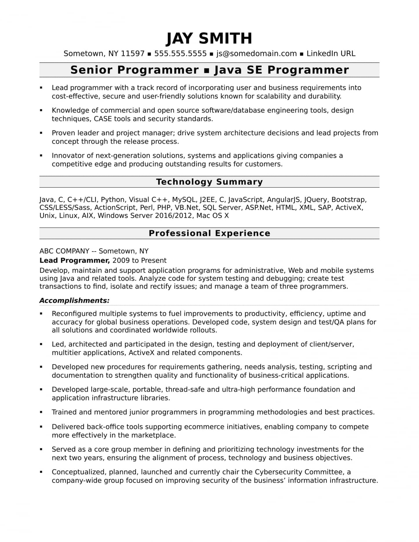 Programmer Resume Examples