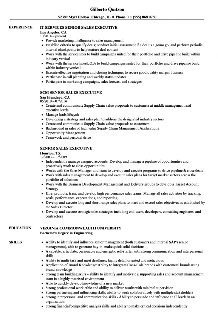 Sales Executive Resume Examples